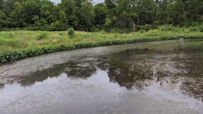 Cleveland Lake Regional Park - Belton, MO