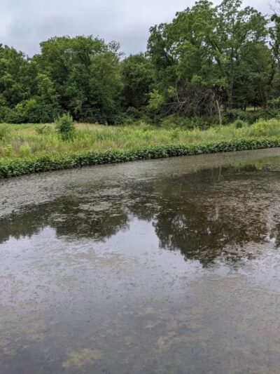 Cleveland Lake Regional Park - Belton, MO