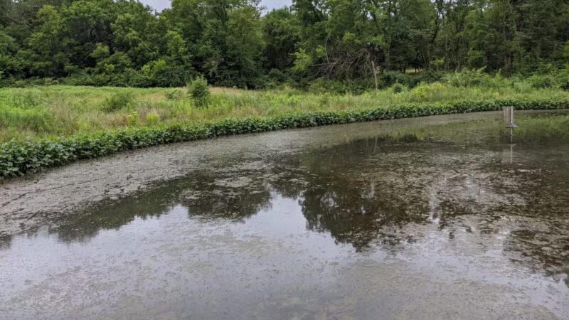 Cleveland Lake Regional Park - Belton, MO