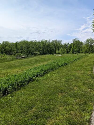 Cleveland Lake Regional Park - Belton, MO