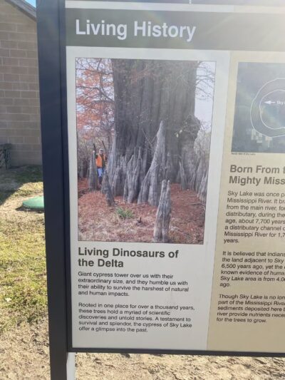 Sky Lake WMA Boardwalk - Belzoni, MS