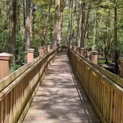 Sky Lake WMA Boardwalk - Belzoni, MS