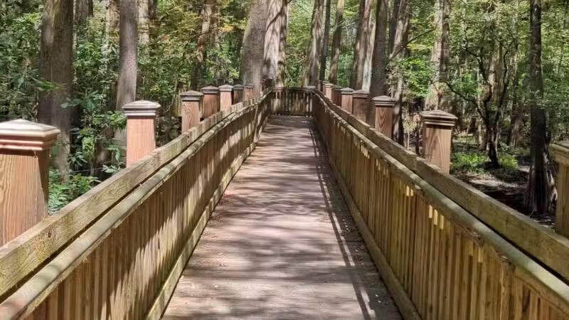 Sky Lake WMA Boardwalk - Belzoni, MS