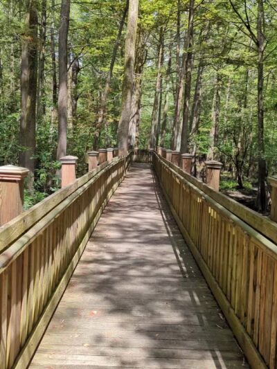Sky Lake WMA Boardwalk - Belzoni, MS