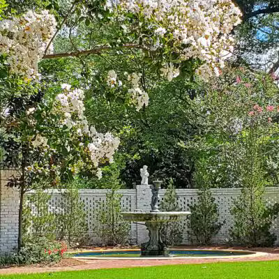 Wister Gardens - Belzoni, MS