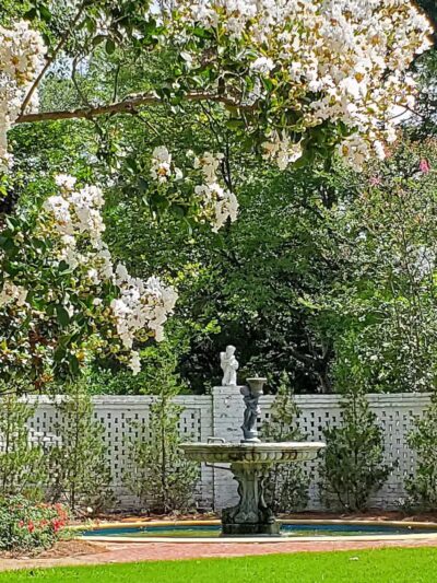 Wister Gardens - Belzoni, MS