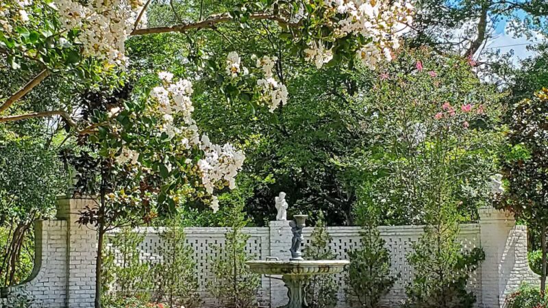 Wister Gardens - Belzoni, MS