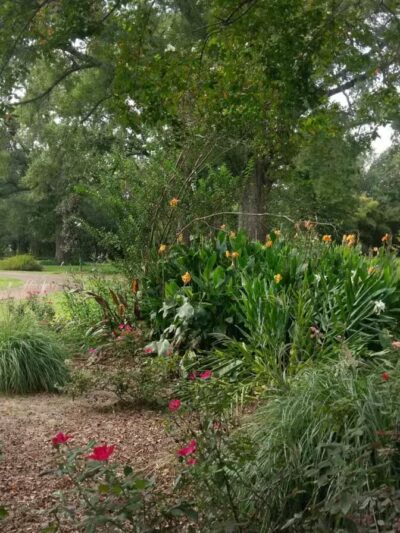 Wister Gardens - Belzoni, MS