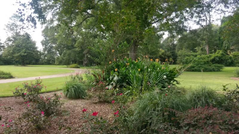Wister Gardens - Belzoni, MS
