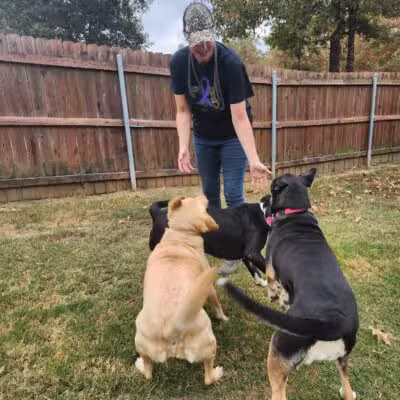Camp Cypress Dog Retreat - Benton, LA