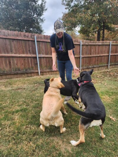 Camp Cypress Dog Retreat - Benton, LA