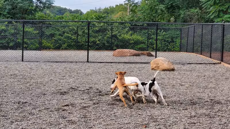 Bergenfield Dog Park - Bergenfield, NJ
