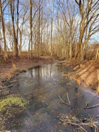 Heron Park (formerly Berlin Falls Park) - Berlin, MD