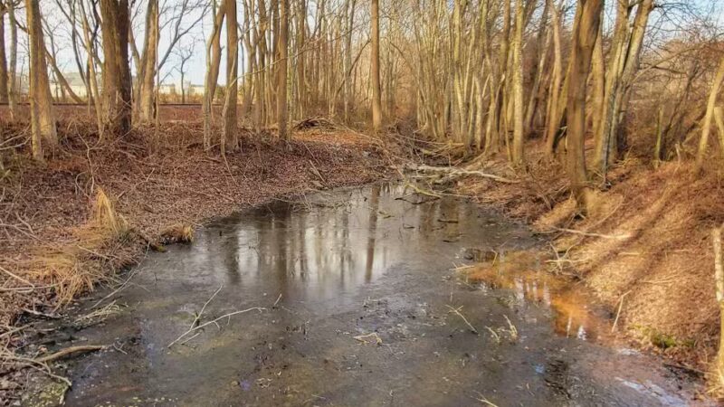 Heron Park (formerly Berlin Falls Park) - Berlin, MD