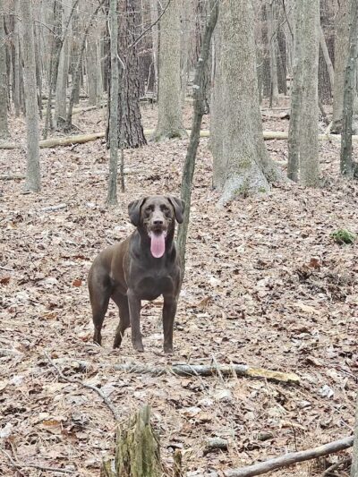Showell Recreation Area - Berlin, MD