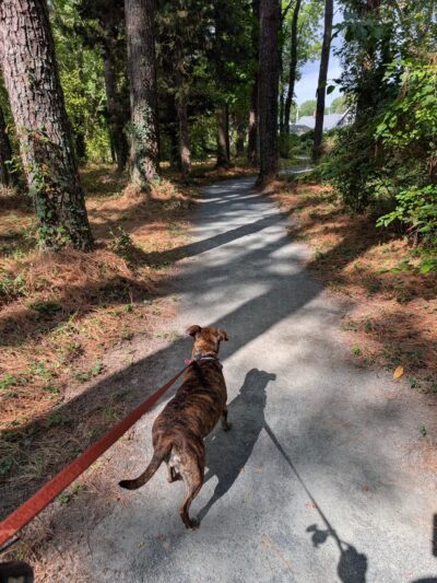 Stephen Decatur Nature Walk and Pond - Berlin, MD
