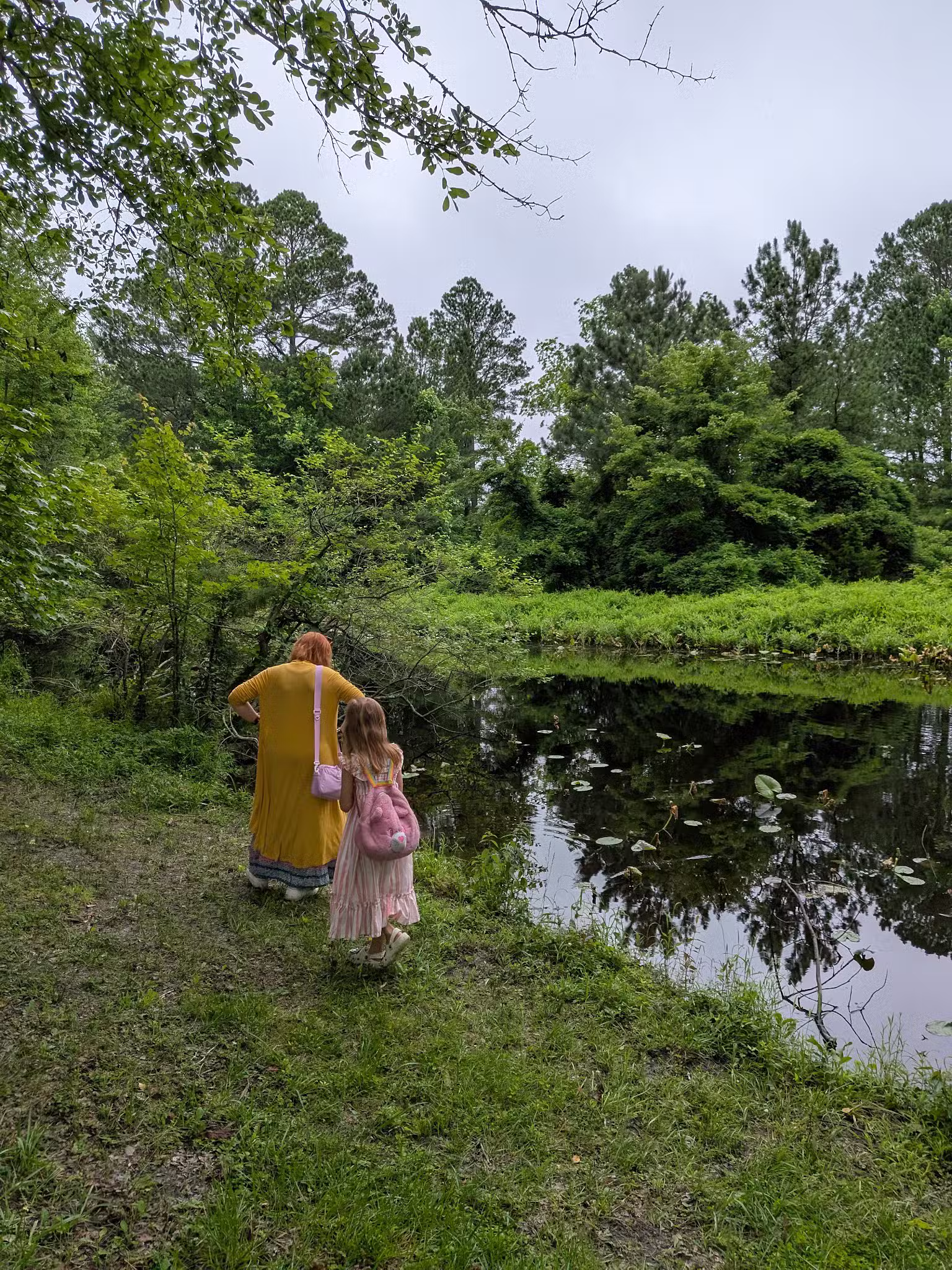 Stephen Decatur Nature Walk and Pond - Berlin, MD