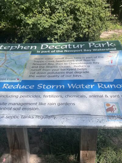 Stephen Decatur Nature Walk and Pond - Berlin, MD