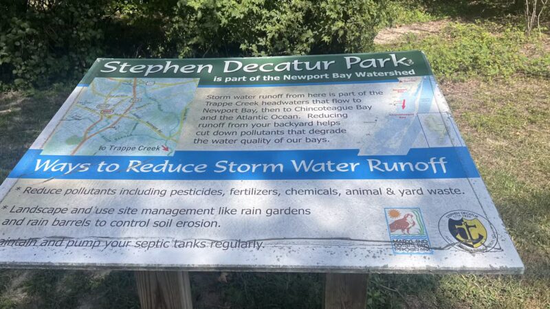 Stephen Decatur Nature Walk and Pond - Berlin, MD