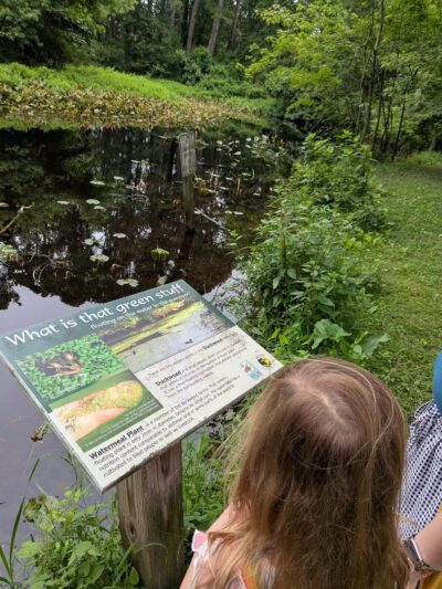Stephen Decatur Nature Walk and Pond - Berlin, MD