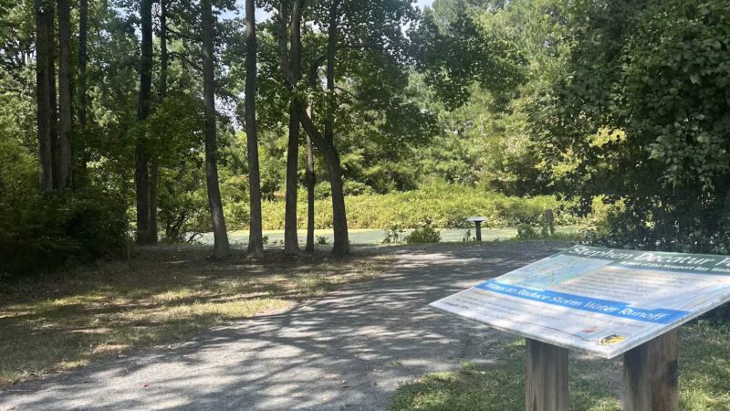 Stephen Decatur Nature Walk and Pond - Berlin, MD