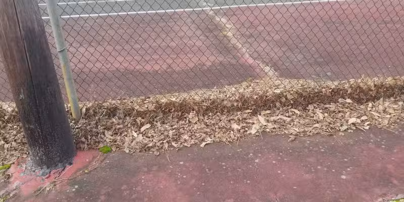 Stephen Decatur Park - Berlin, MD
