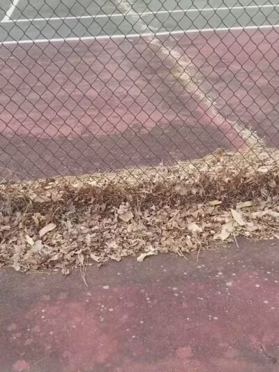 Stephen Decatur Park - Berlin, MD