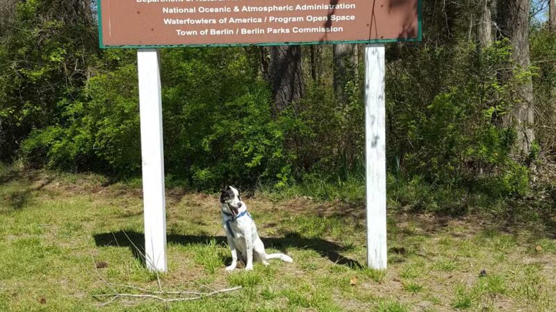 Stephen Decatur Park - Berlin, MD