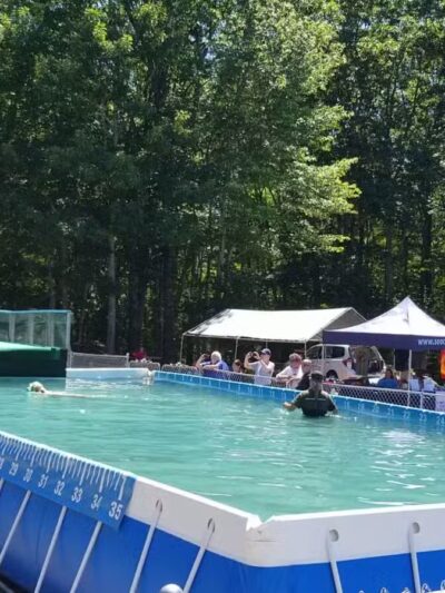 Kara's Pet Care - Berwick, ME