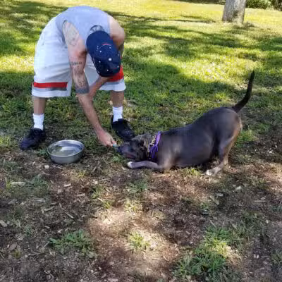 Kara's Pet Care - Berwick, ME