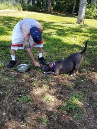 Kara's Pet Care - Berwick, ME