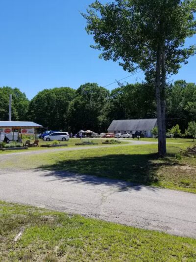 Kara's Pet Care - Berwick, ME