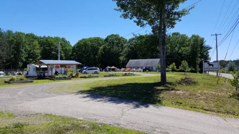 Kara's Pet Care - Berwick, ME