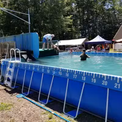 Kara's Pet Care - Berwick, ME