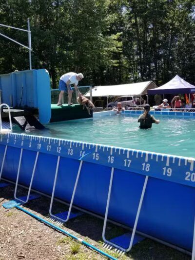 Kara's Pet Care - Berwick, ME