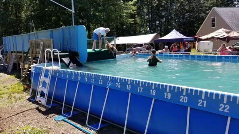 Kara's Pet Care - Berwick, ME