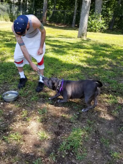 Kara's Pet Care - Berwick, ME