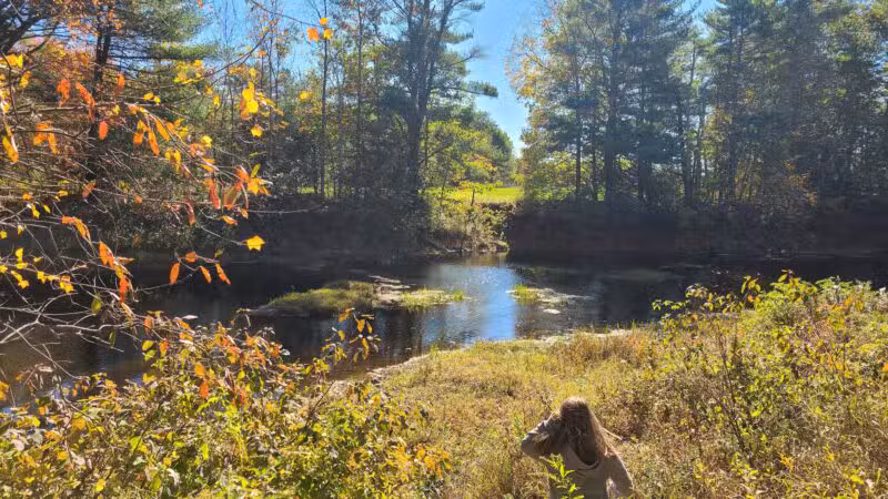 Keay Brook Nature Preserve - Berwick, ME