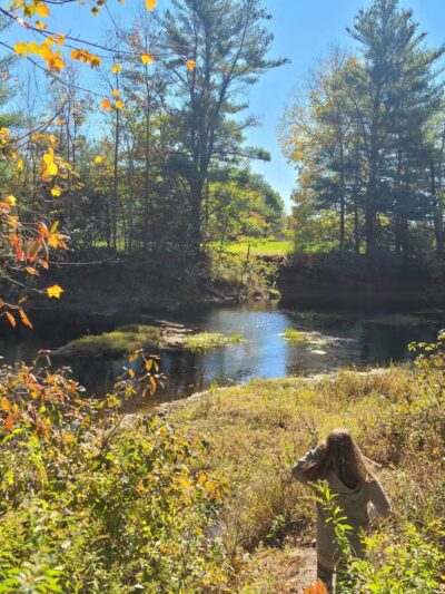 Keay Brook Nature Preserve - Berwick, ME