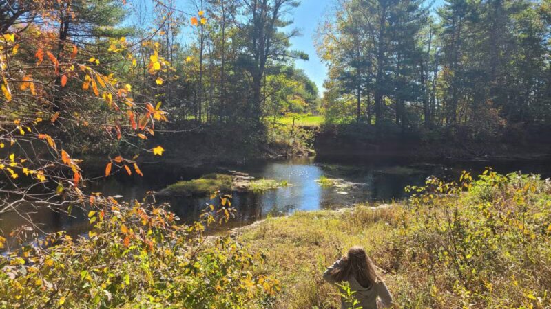 Keay Brook Nature Preserve - Berwick, ME