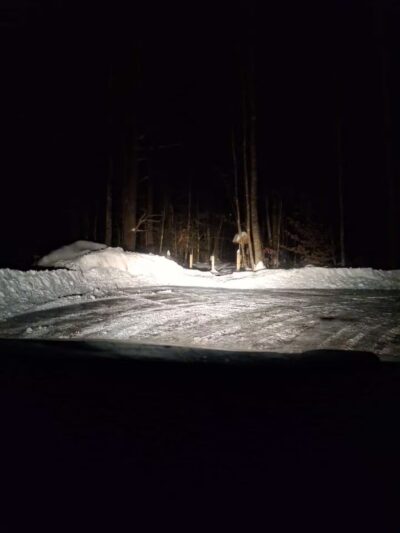 Keay Brook Nature Preserve - Berwick, ME