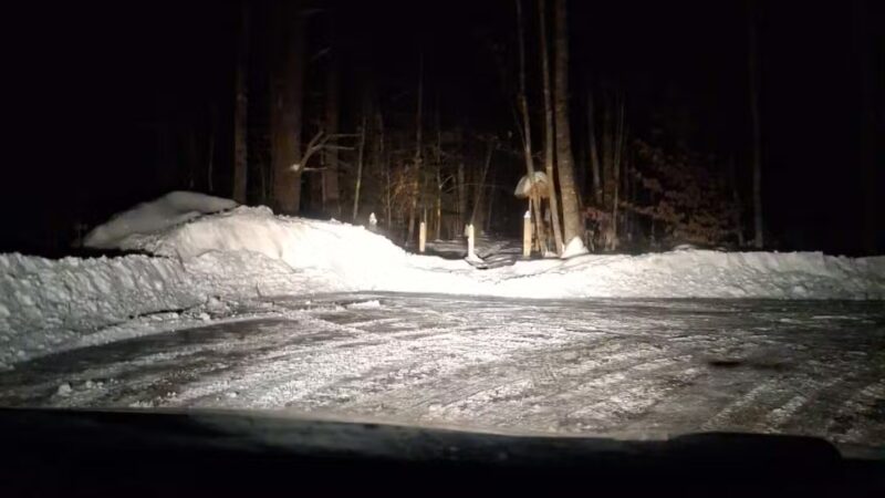 Keay Brook Nature Preserve - Berwick, ME
