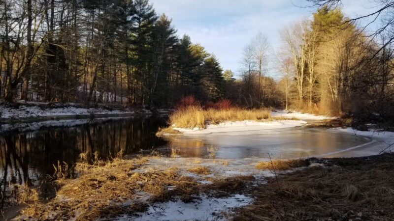 Keay Brook Nature Preserve - Berwick, ME