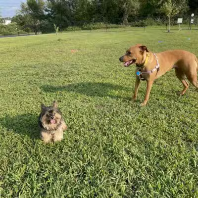 Berwick Community Dog Park - Berwick, PA