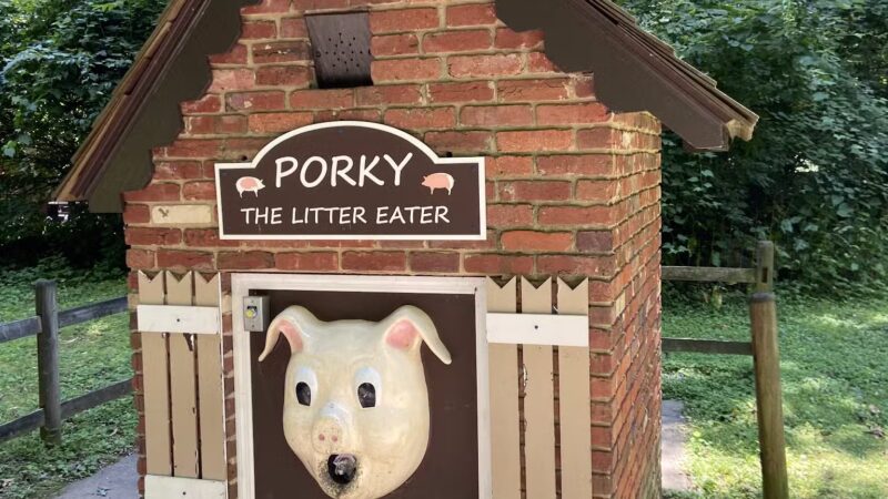Cabin John Regional Park - Bethesda, MD