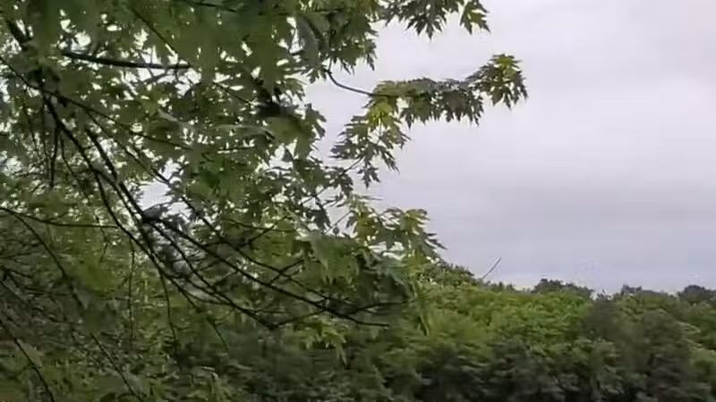 Bethpage State Park Bicycle Path - Bethpage, NY