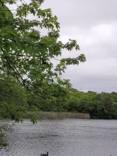 Bethpage State Park Bicycle Path - Bethpage, NY