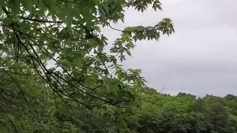 Bethpage State Park Bicycle Path - Bethpage, NY