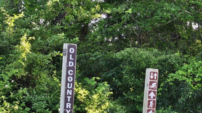 Bethpage State Park Bicycle Path - Bethpage, NY