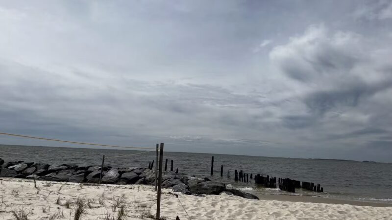 Cove Beach Park - Bivalve, MD